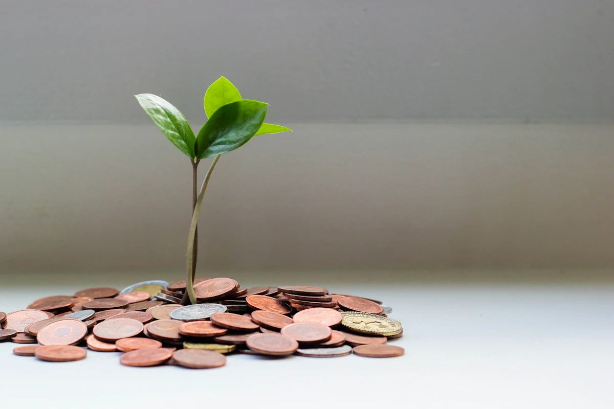 Cooperative sample website for Kaagapay Lending